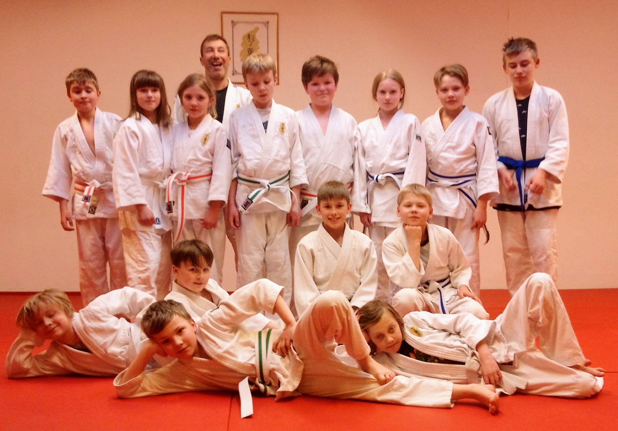 gradering jujutsu judo