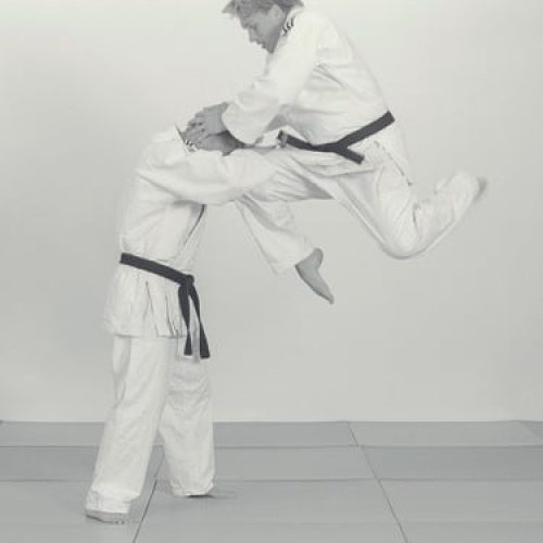 magnus_cederblad_hiza_tobi_geri_johan_forsbring_suginoharyu